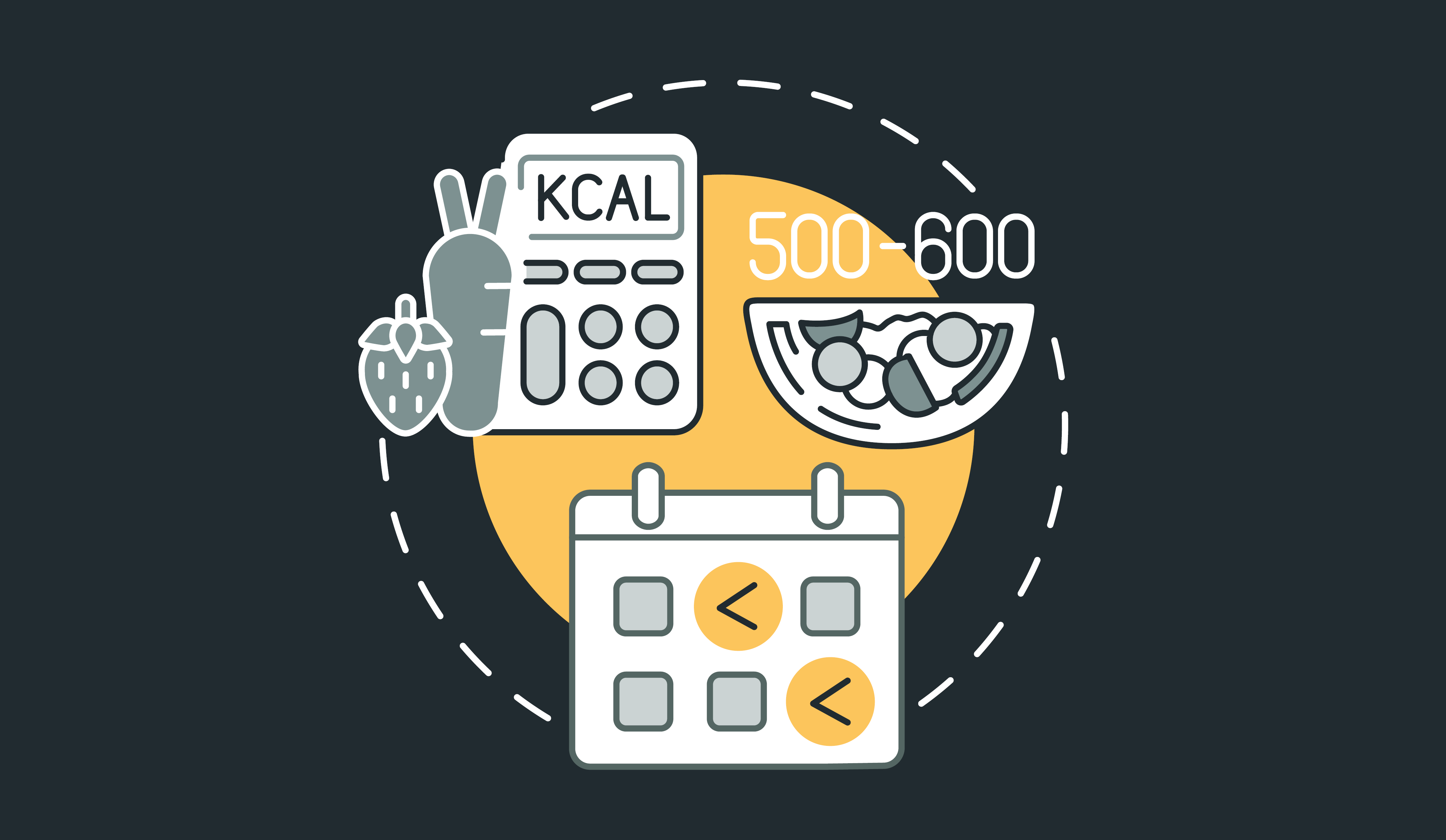 Biom Team 5 2 Mr Dieta Kreativ 3 1