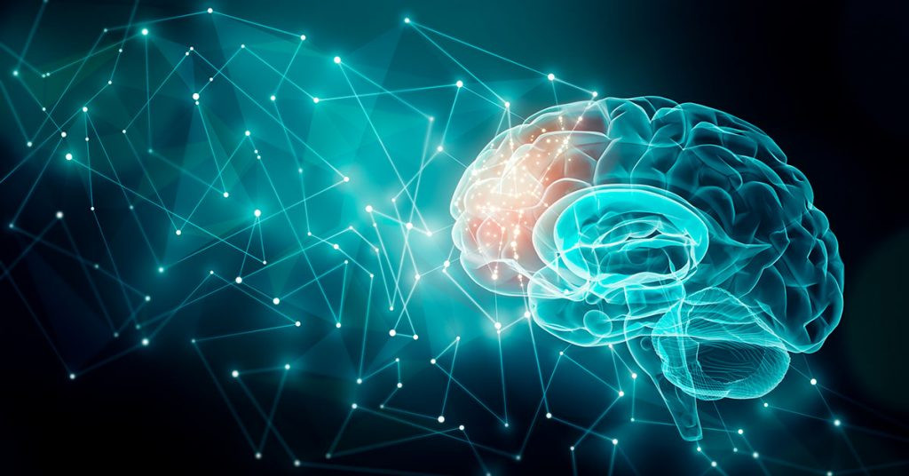 Regional Neurological Brain Science 1024x536
